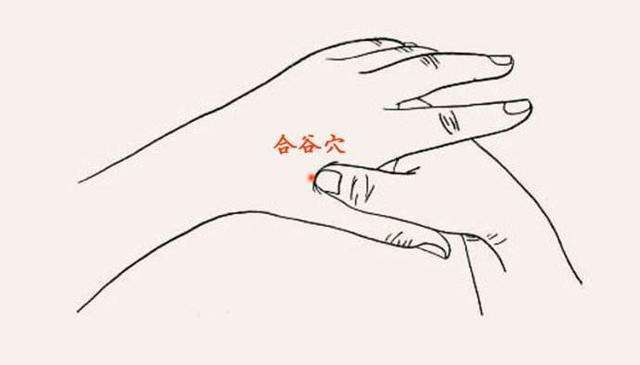 风火牙痛:火热郁积在牙龈处,淤阻了脉络,导致牙痛,其症状为:牙痛阵发