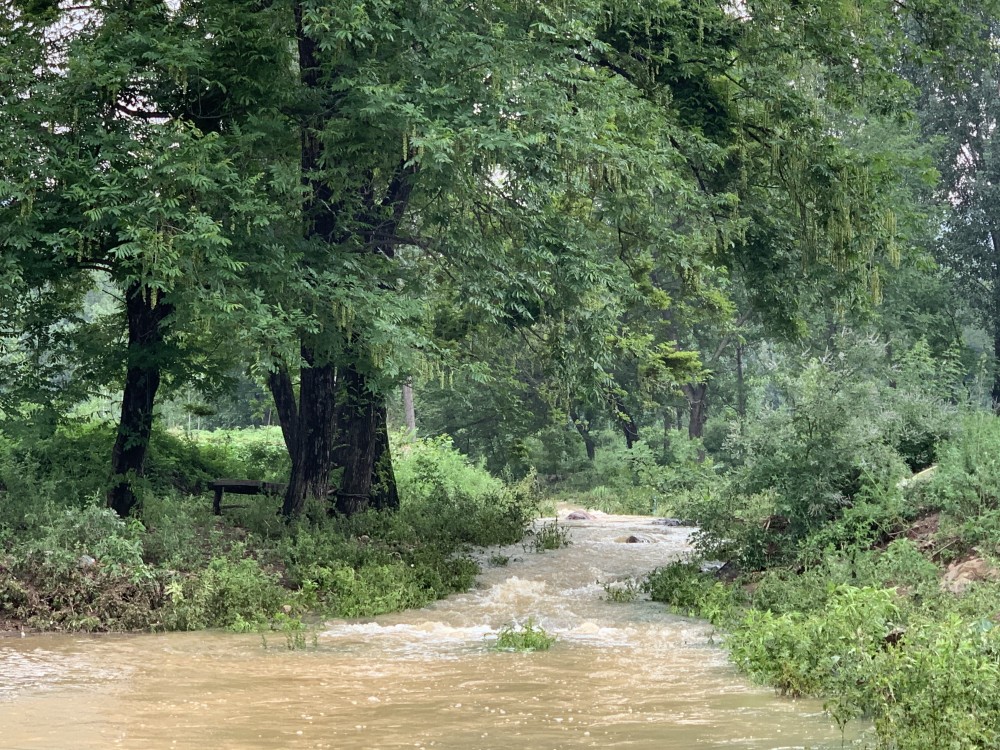 白起坑杀赵军的太行丹水
