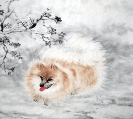 狗狗人 10月30号 有 躲不过 的大囍事 堪称 鸿运当头 生肖狗 财运 财星