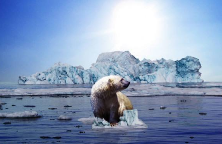 地球|第6次生物大灭绝已经来临？科学家坦言：人类早晚都得消失