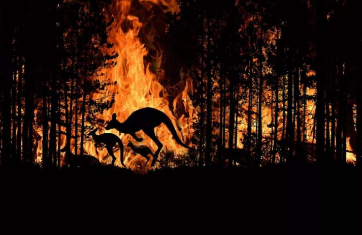 地球|第6次生物大灭绝已经来临？科学家坦言：人类早晚都得消失