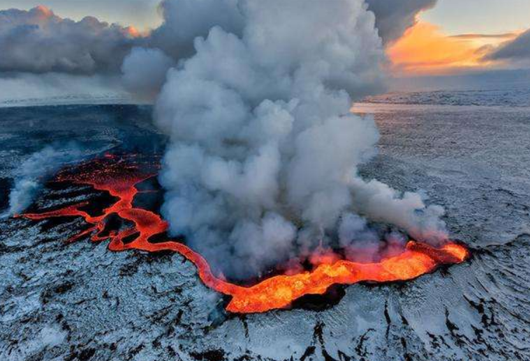 地球|第6次生物大灭绝已经来临？科学家坦言：人类早晚都得消失
