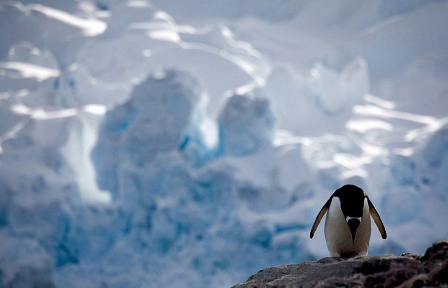 人类祖先|人类祖先因气候不适而灭绝，如今全球正持续升温，雷鸣般警讯！