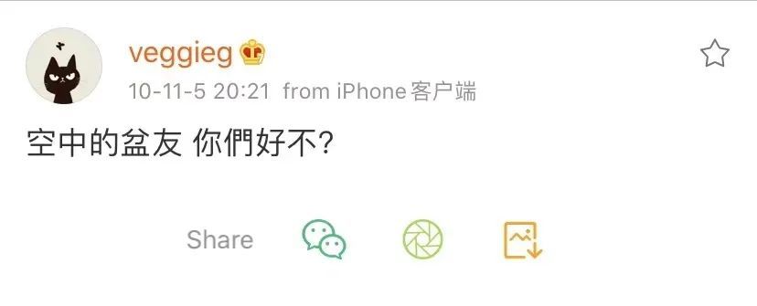 王菲|王菲怎么一点都不“天后”？