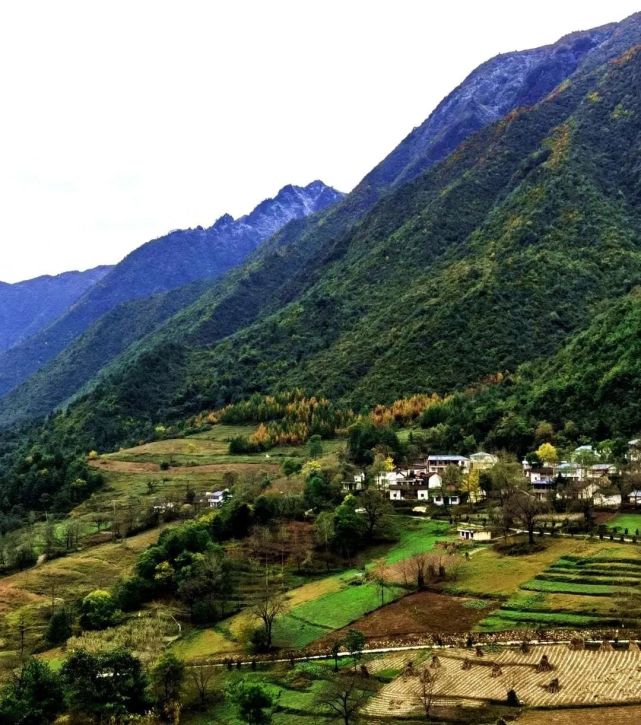 正式获评康县这个村庄上榜全国美丽榜单