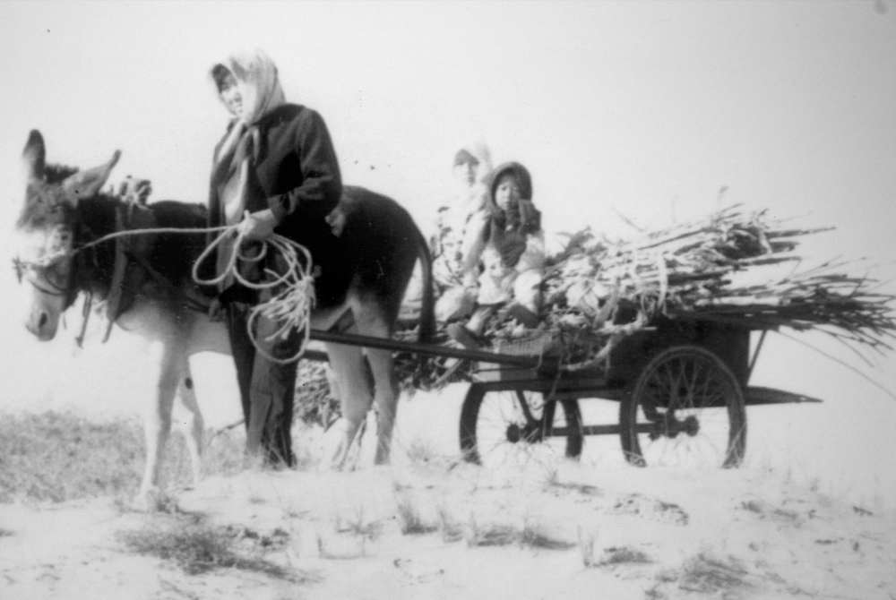 逐梦|《国家相册》：大漠逐梦人