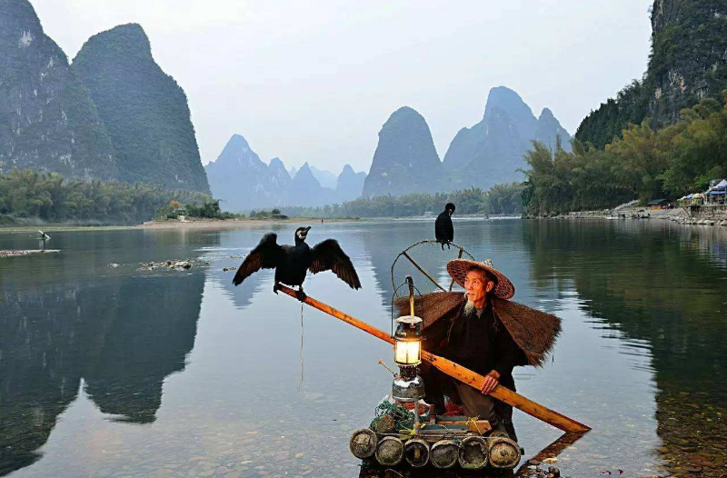 "青箬笠,绿蓑衣"中的"青箬笠"到底是什么?诗词大会28人答错_腾讯新闻