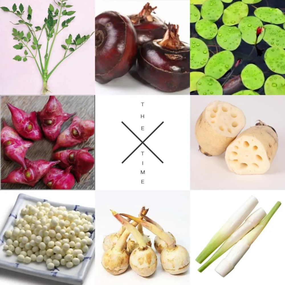 这里先普及个小知识,"水八仙"又叫"水八鲜",一般指水中生产的八种蔬菜