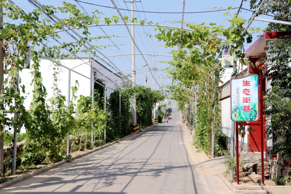 五个优化滕州市东郭镇共建共享幸福美好新生活