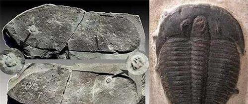 纳尔逊·罗利赫拉赫拉·曼德拉|“曼德拉效应”越来越明显，难道人类的记忆被篡改了？发生了什么