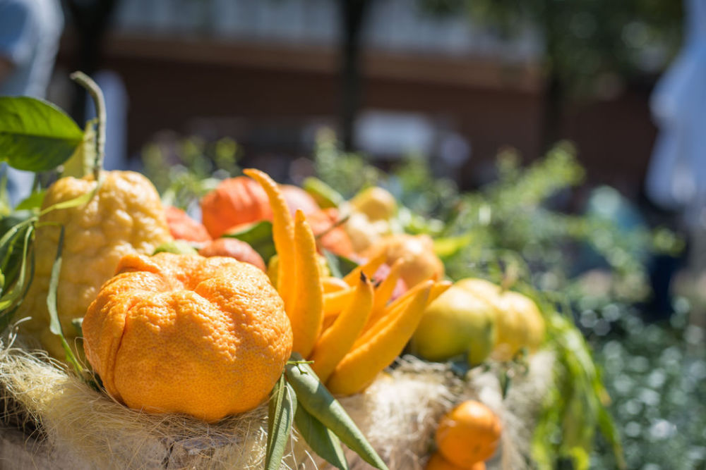 鼻塞|改善鼻敏感，精油可以通鼻塞？注册香薰治疗师教你用精油舒缓鼻塞