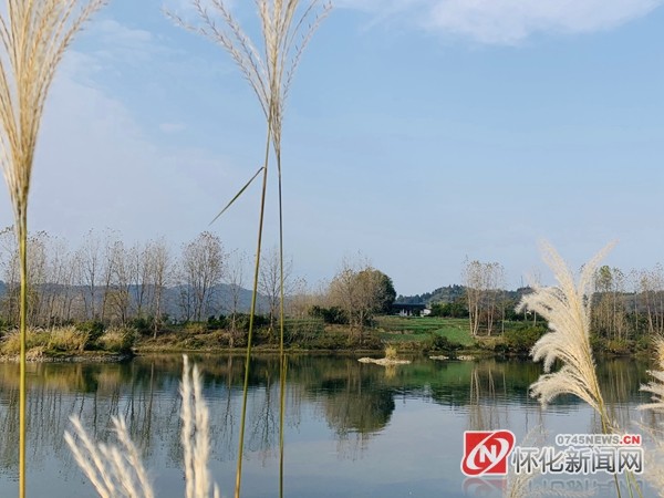 考古|文化走廊丨高庙遗址的三块碑