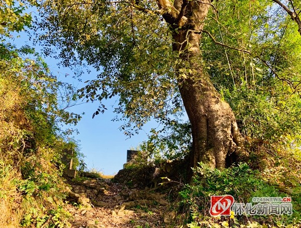 考古|文化走廊丨高庙遗址的三块碑