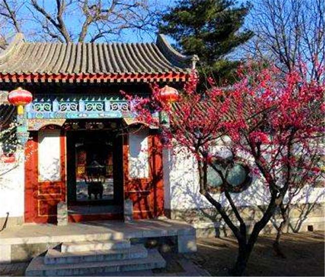 曹雪芹|以花喻人，以花达意，从《红楼梦》的描写看花草意象