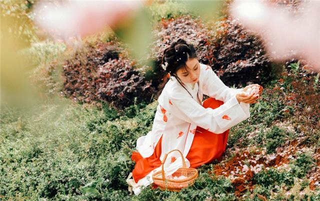 曹雪芹|以花喻人，以花达意，从《红楼梦》的描写看花草意象