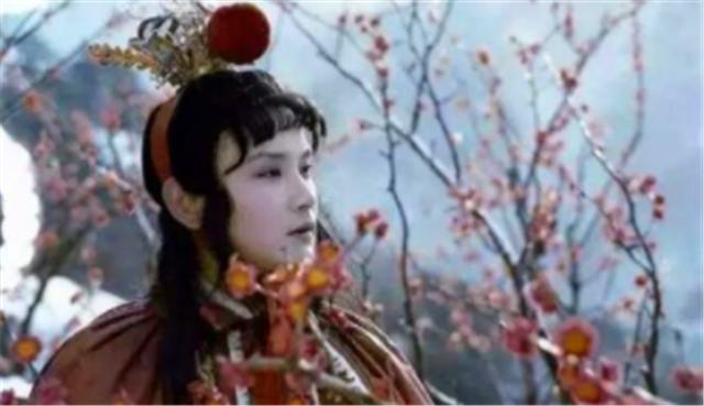 曹雪芹|以花喻人，以花达意，从《红楼梦》的描写看花草意象