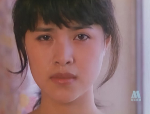 周晓文|青春无悔|郑加农|石兰