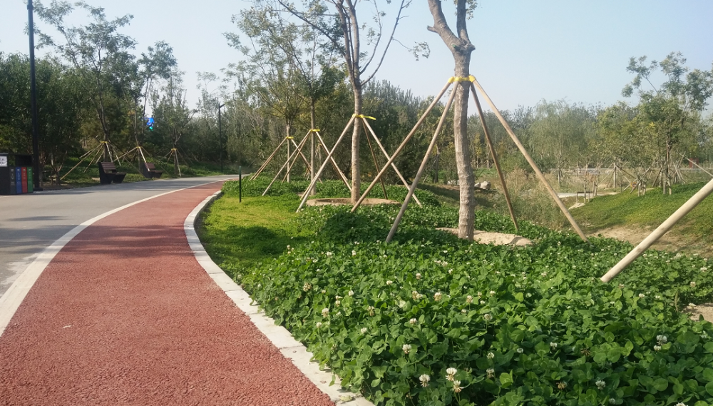 新城|昔日工业大院变身城市花园！西毓顺公园开门迎客