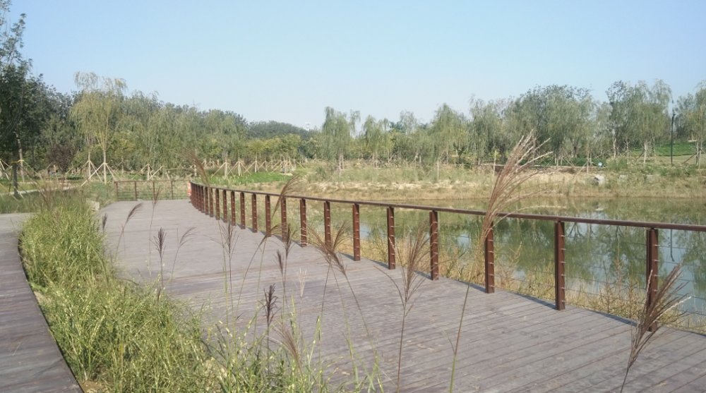 新城|昔日工业大院变身城市花园！西毓顺公园开门迎客