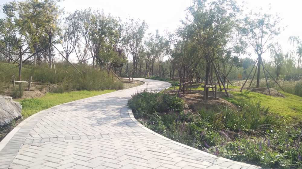 新城|昔日工业大院变身城市花园！西毓顺公园开门迎客