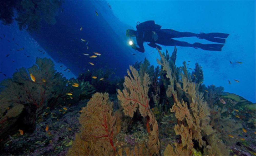 人造卫星|美卫星监测到异象，有1000个香港面积大的物体，正飘往中国