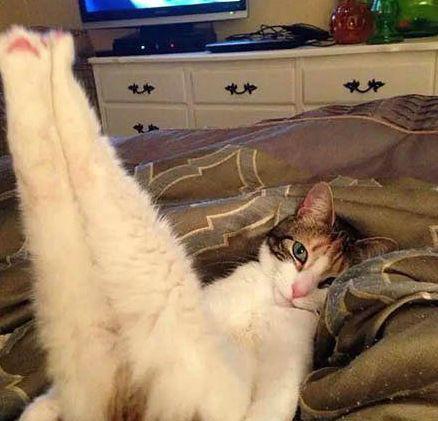 身高|个子矮活得久？身高与寿命有什么关系？对以后生活有什么影响？