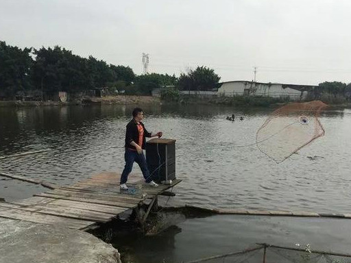 水产养殖|水产养殖户，最容易踩过10个坑！你踩过吗？