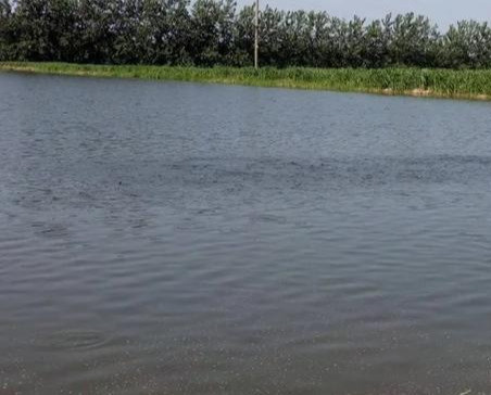 水产养殖|水产养殖户，最容易踩过10个坑！你踩过吗？