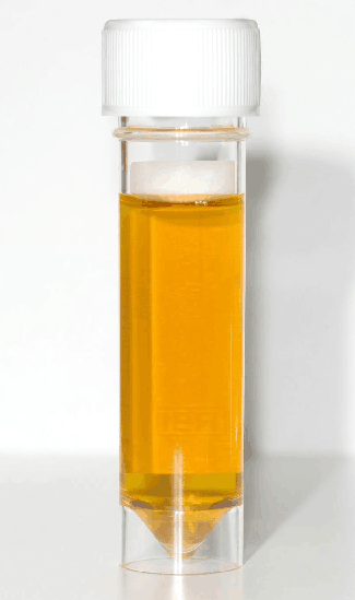 除了彩虹屁还真有人嘘嘘出了要命的彩虹尿