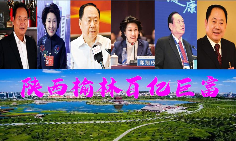 陕西榆林籍3位百亿巨贾总坐拥1190亿绥德女子或为榆林首富