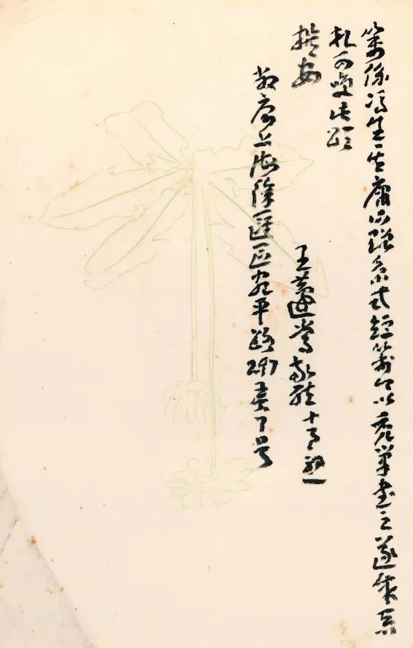 章草|蘧书三记：人书一体，章草核心，笔墨终老