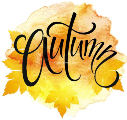 红叶|浪漫赏叶季 周末到这些地方感受金秋之美