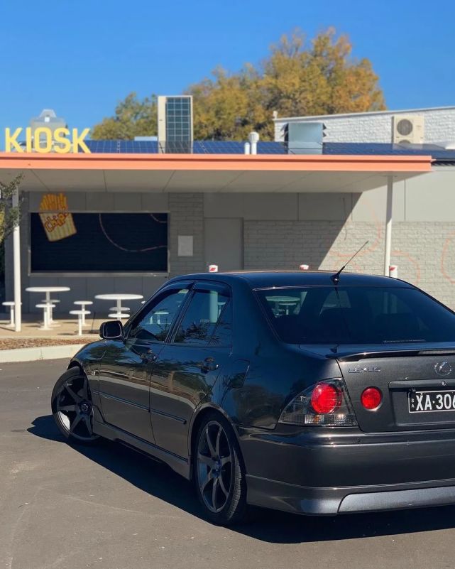 咬地鲨还是颜值在线呀!