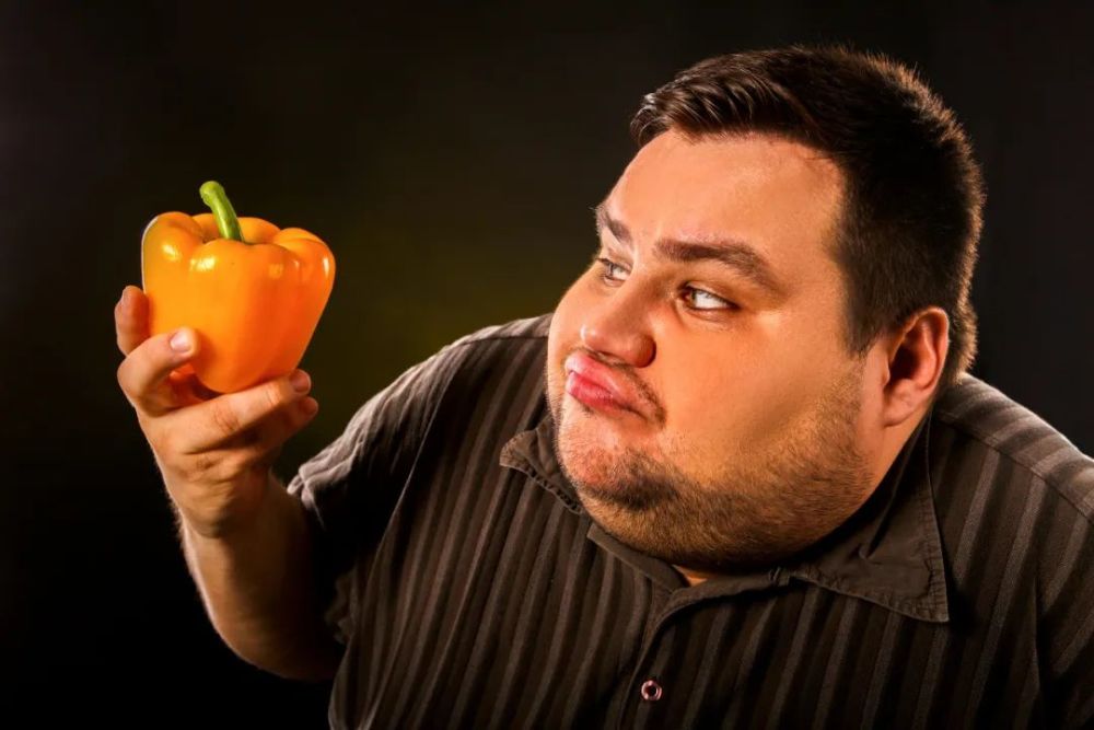 微塑料|新研究：扔掉的垃圾会回到你的肚子里，并且影响营养吸收