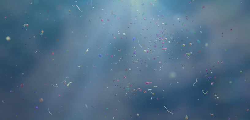 微塑料|新研究：扔掉的垃圾会回到你的肚子里，并且影响营养吸收