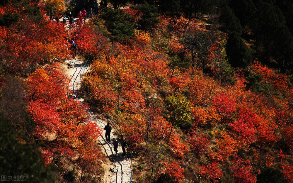 北京香山的秋天到底有多美一曲紅裳添嫵媚古韻十足