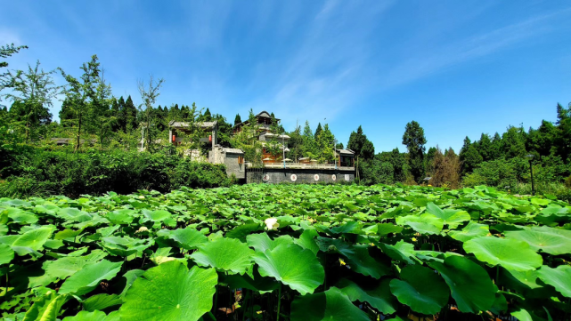 四川省資中縣植根歷史文化 賦能全域旅遊(下)