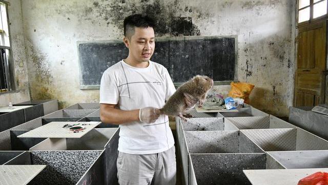 农民|通知：10月农村“4禁令”生效，禁止农民4种行为，村村涉及