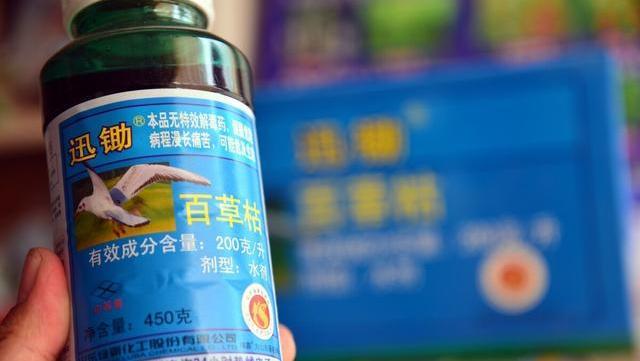 农民|通知：10月农村“4禁令”生效，禁止农民4种行为，村村涉及