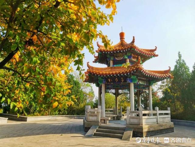 带你去看红叶就在济南六里山