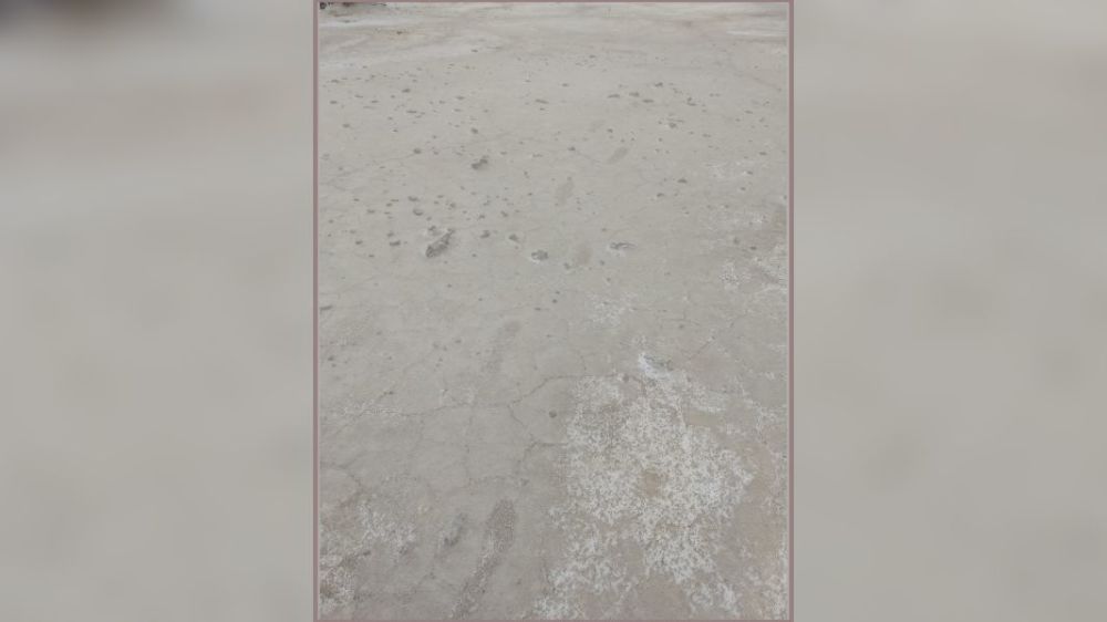 科学家|白沙公园发现4个奇怪的远古脚印，科学家还原了脚印背后的故事