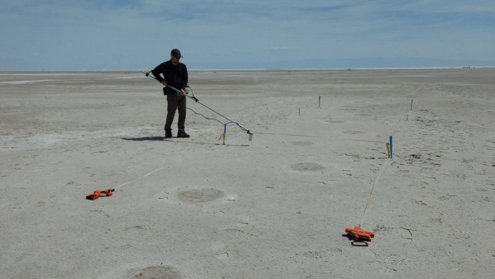 科学家|白沙公园发现4个奇怪的远古脚印，科学家还原了脚印背后的故事