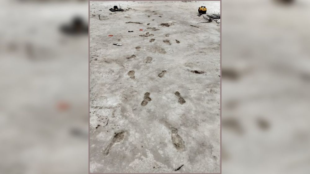 科学家|白沙公园发现4个奇怪的远古脚印，科学家还原了脚印背后的故事