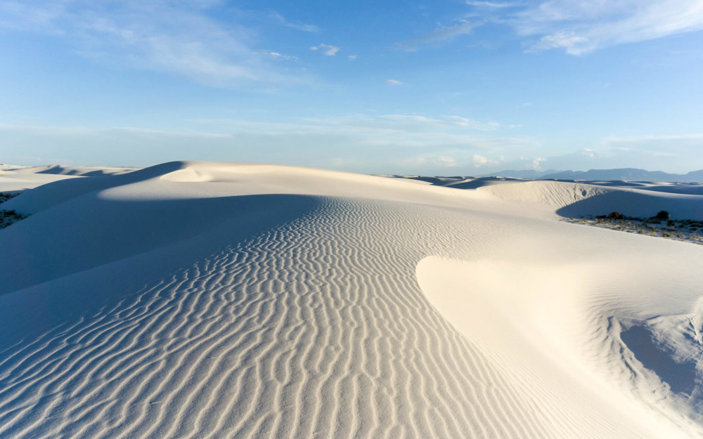 科学家|白沙公园发现4个奇怪的远古脚印，科学家还原了脚印背后的故事