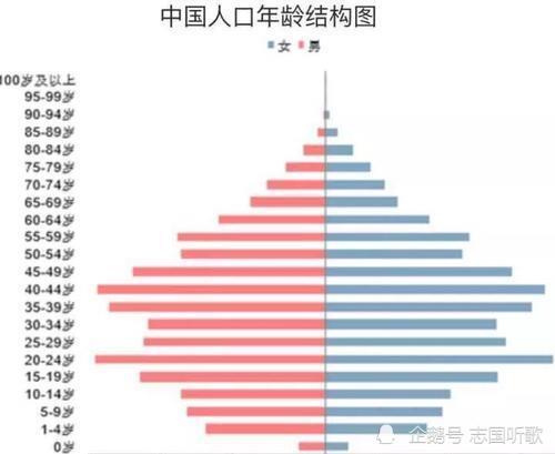 中國人口結構圖(中國人口結構圖2019)