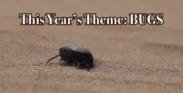 唐纳德·特朗普|2020搞笑诺奖揭晓，特朗普获奖，还有这5个中国人