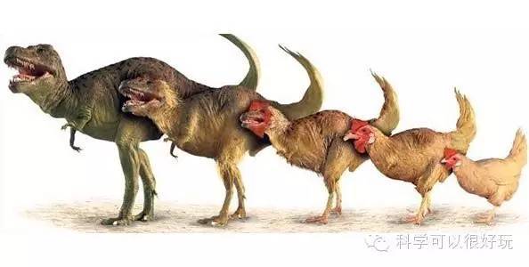 唐纳德·特朗普|2020搞笑诺奖揭晓，特朗普获奖，还有这5个中国人