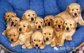 唐纳德·特朗普|2020搞笑诺奖揭晓，特朗普获奖，还有这5个中国人