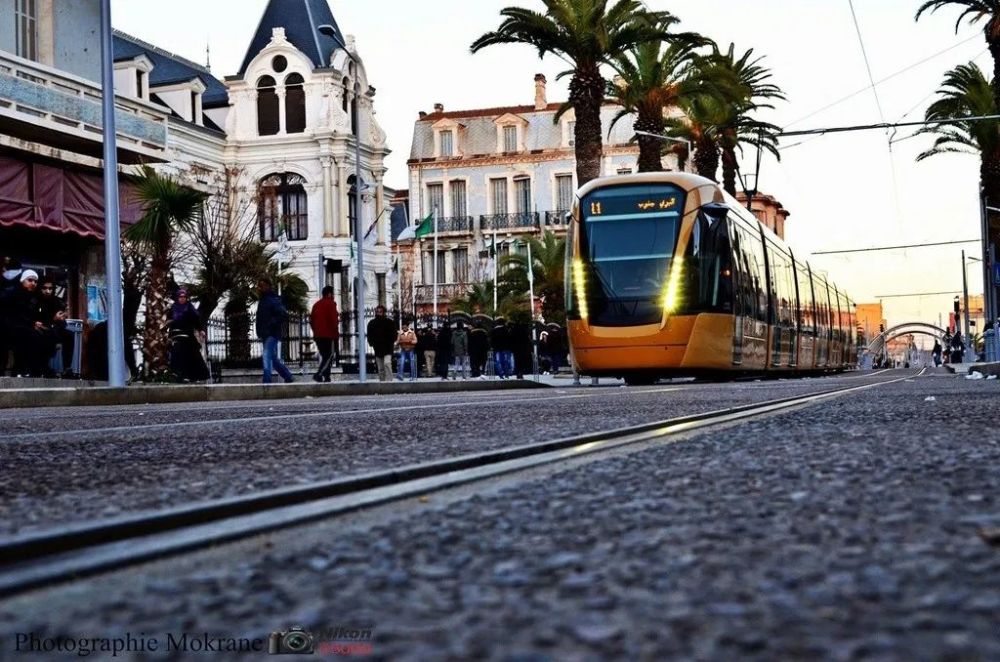 历史名城阿尔及利亚西迪贝勒阿巴斯有轨电车