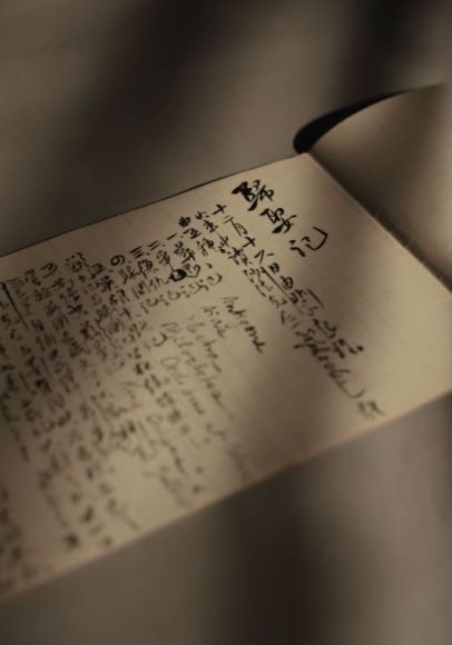 胡适留学日记|1.39亿！刚在上海展出过的这部手稿创下最贵日记纪录